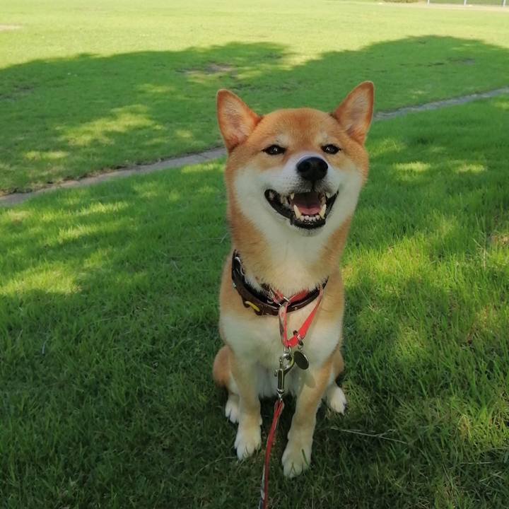 C81d664d 086c 435f a61e e553a7ecc153 1593648610370