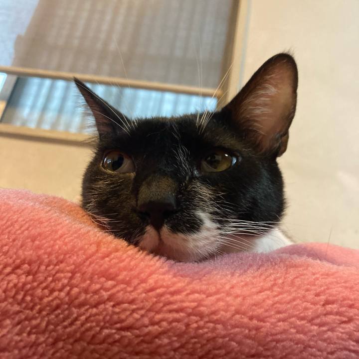 C81d668c 21e4 422e 9db0 836c6daf99b5 1696732616283