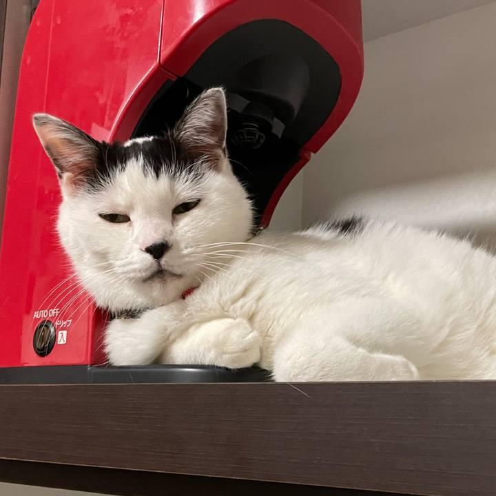 C81d88af b186 45ef 8729 c7cb3c24275d 1637587309176