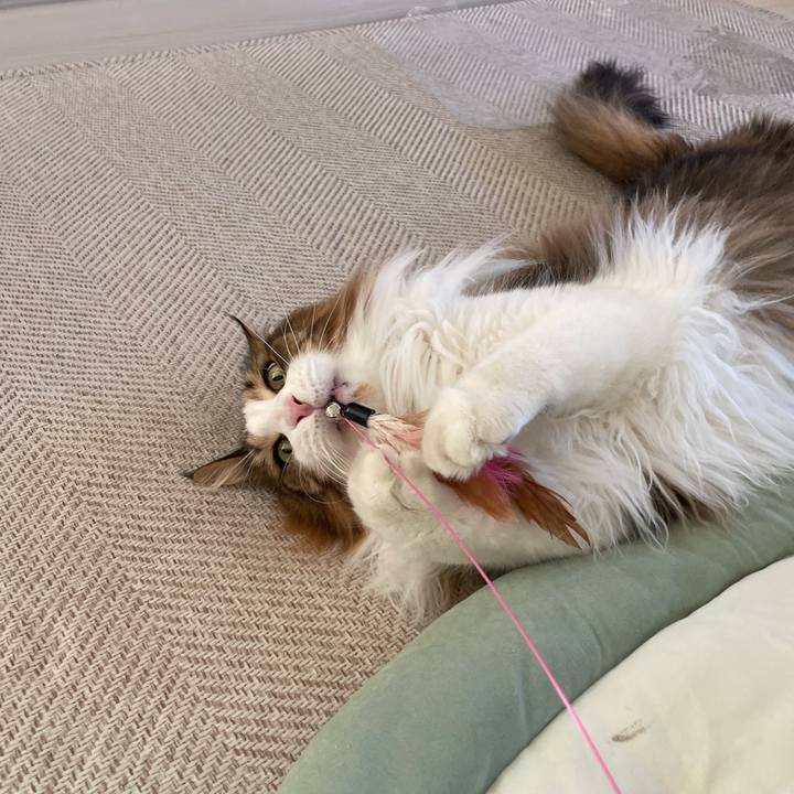 C81da497 6a75 402e a36e 310bcc224932 1679180165482