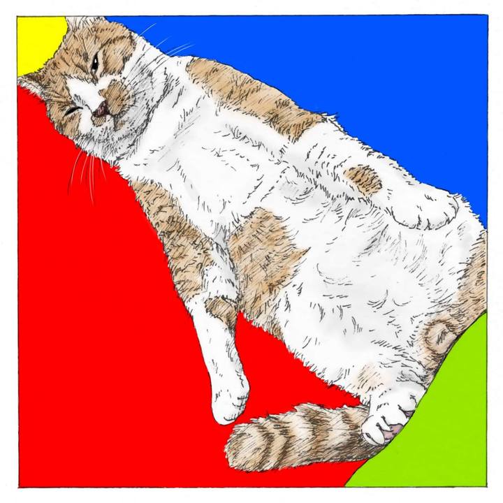 C81dbd3c 0b2b 4e61 a59b 543212610335 1575641842714