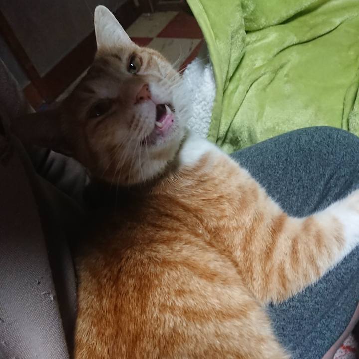 C81def6d a676 4675 b0b6 9cd52cf6c436 1588018661155