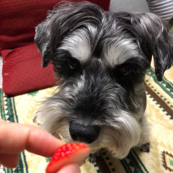 C81dfc8e 17ac 4267 859c 1f29b50cfa23 1652368611874