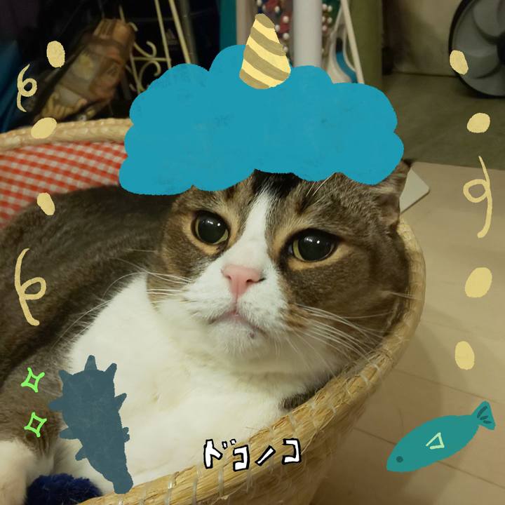 C81e188e 87b8 41f7 9c7b c342bd9eb910 1706825191713