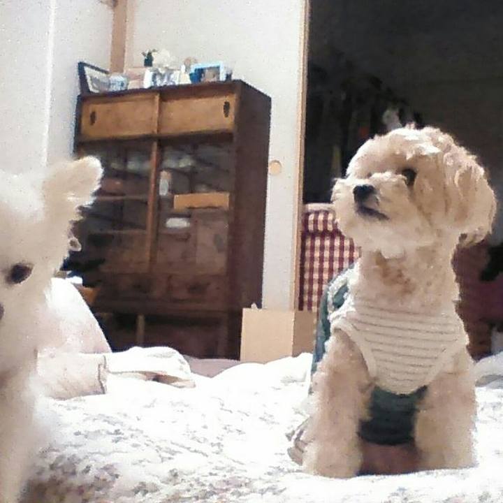 C81e6436 624a 44a9 acf1 9be0d568bb44 1509710387983