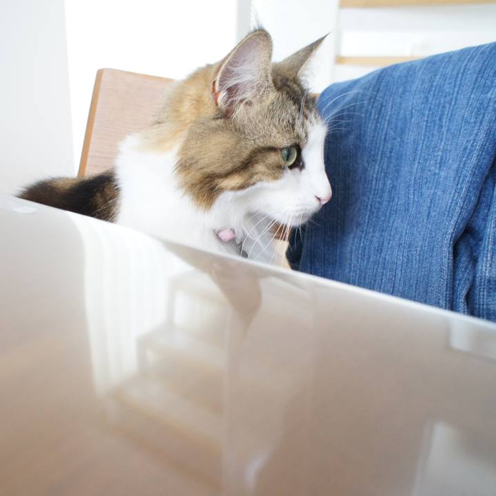 C81e8b72 cffb 458a a516 2d934210a1c0 1537779221790