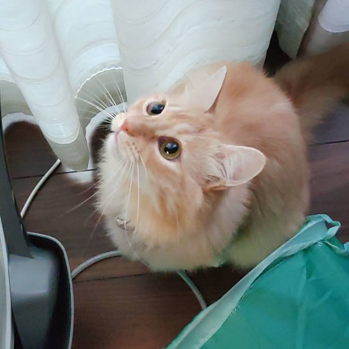 C81e999b f069 41ed 9a67 dcd8223edf4b 1663734652998