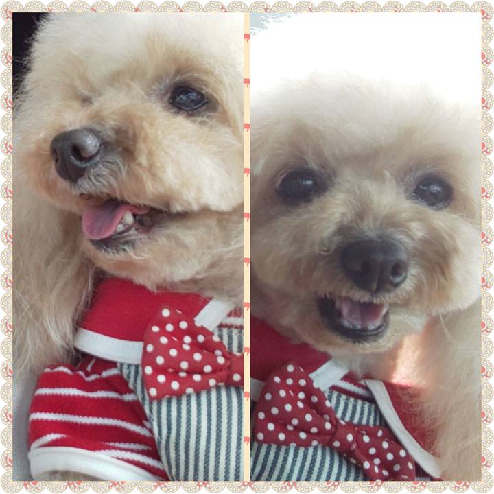 C81e9dd9 76f3 4791 af69 5ef652b052d2 1684305651886