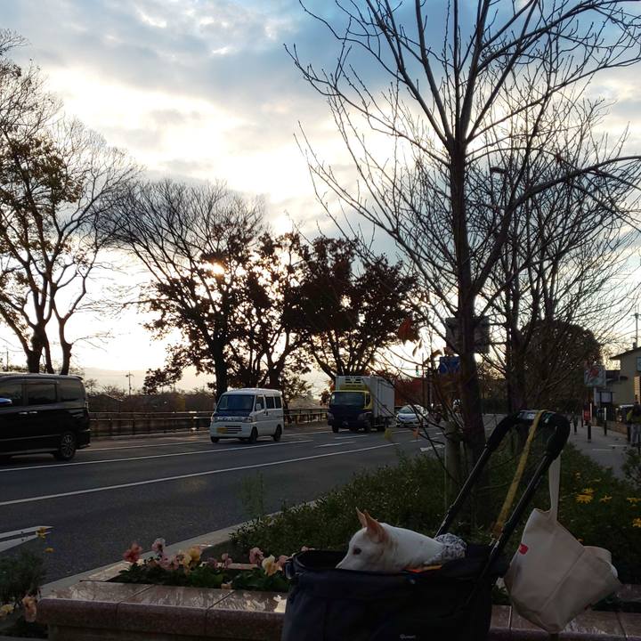 C81eb241 1131 40a3 9c21 8ce5f8d6b64e 1575424955997