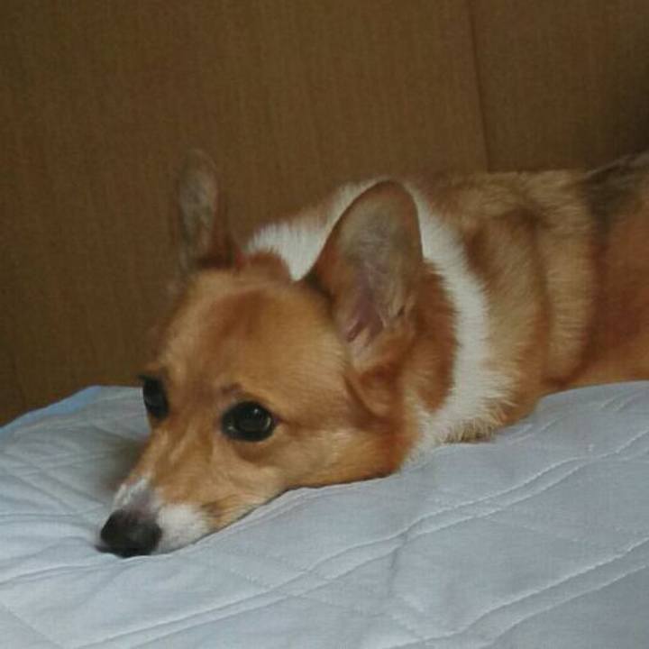 C81eb85e 61f2 41b3 8291 6ef81d219e42 1530830880300