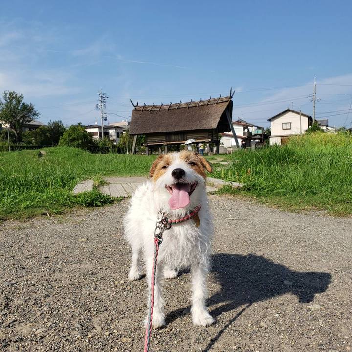 C81ef46f 8fd5 4ae0 9747 b27f67e80707 1629961894516