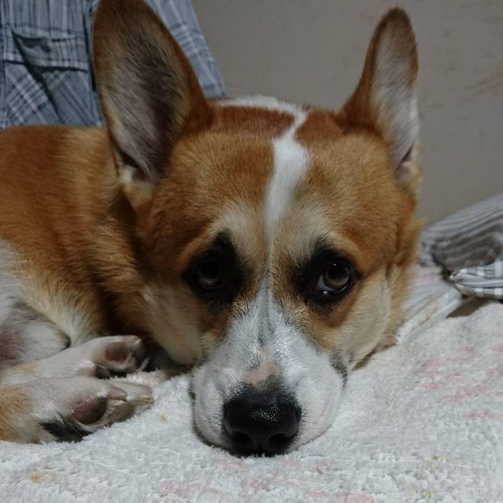 C81efaa0 eb1c 4b8a 82a2 40f377933bed 1598748663132