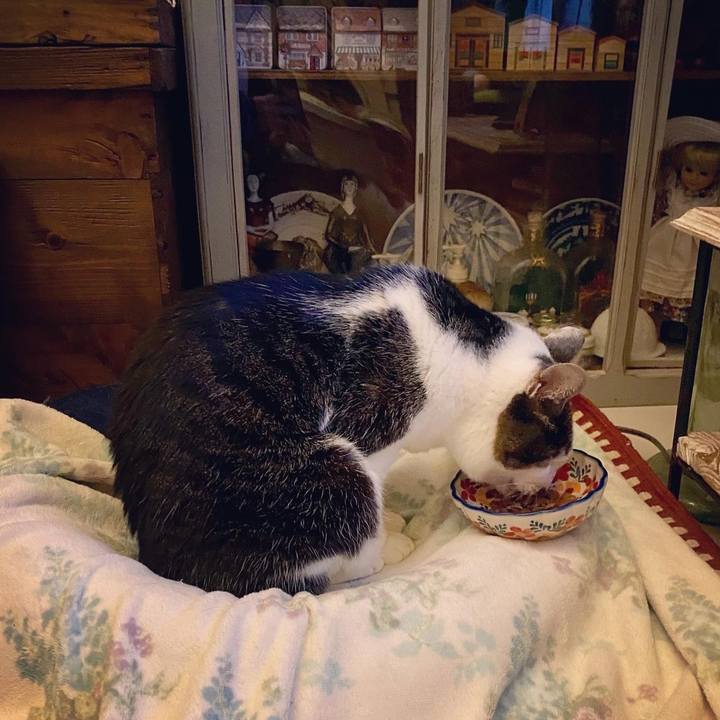 C81f0d3d 8dba 419e 9338 883e216a3e84 1611662565117