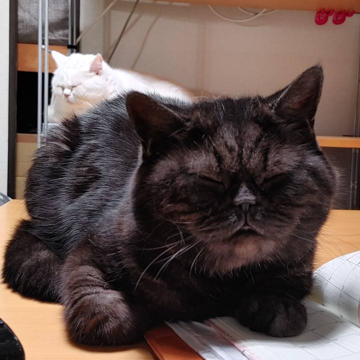 C81f2d18 a832 4ea4 8ae1 ca4f69c96997 1638527025796