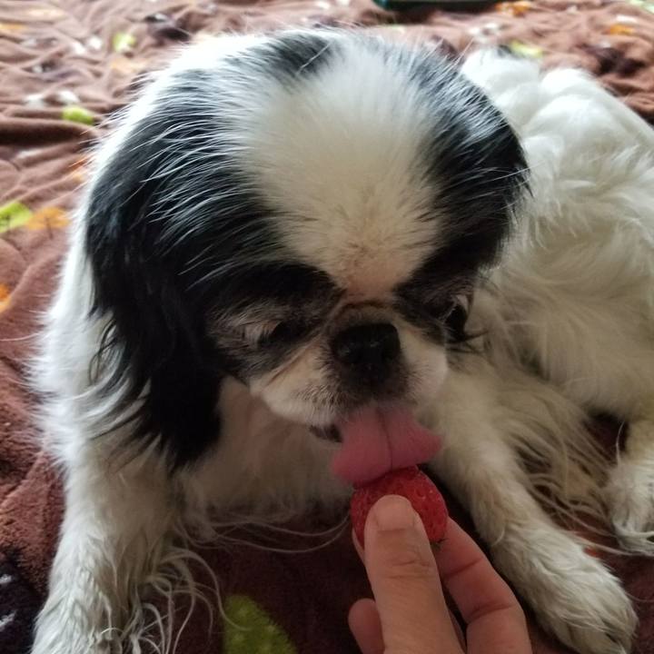 C81f4424 7ab9 4b5c 8bbc 73162dd34e37 1524393483292