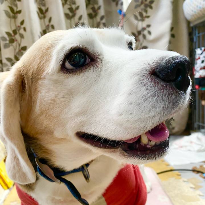 C81f7ac0 df71 4ef4 aea8 7259bddd3005 1617595446152