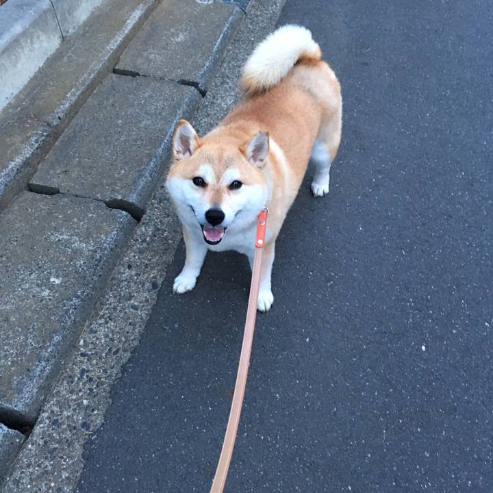 C81f858f 29e5 4f6d 8ab3 3c9b435984e6 1559387490970