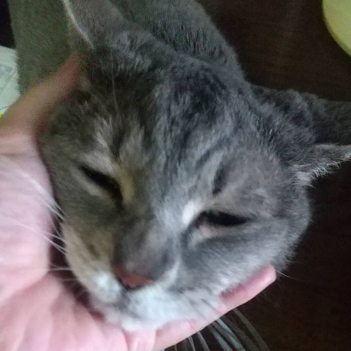 C81f8ff5 07c4 4eb5 b0e8 997832b5b3eb 1656625593518