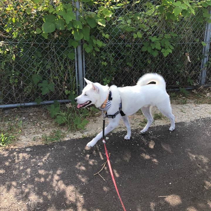 C81fa735 1a37 4055 aada 4d5bca99c648 1532478069991