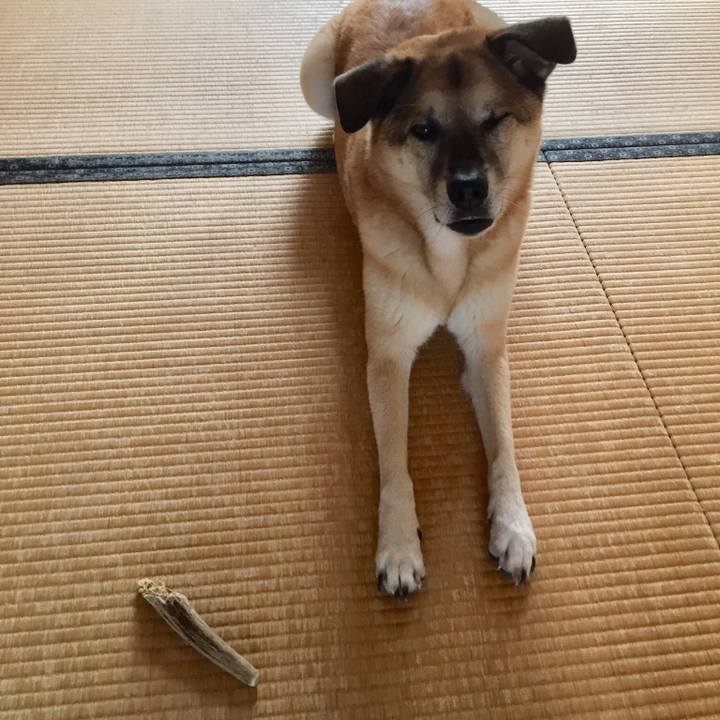 C81fab04 faa1 4c1c 8cc5 0d3a53cfe1f5 1538007604565