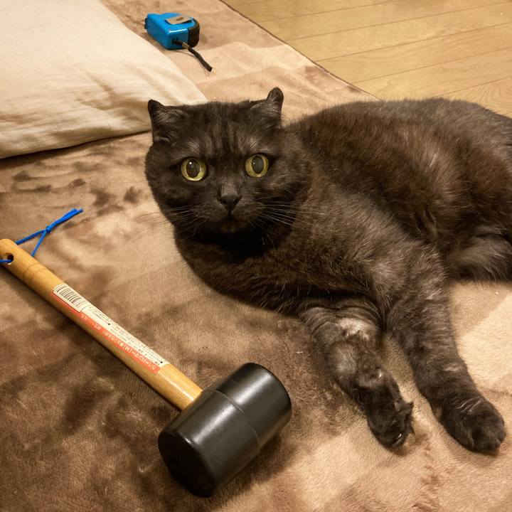 C81fb3e0 c8bb 4bc5 936c c8c14ab1f39f 1622903129170