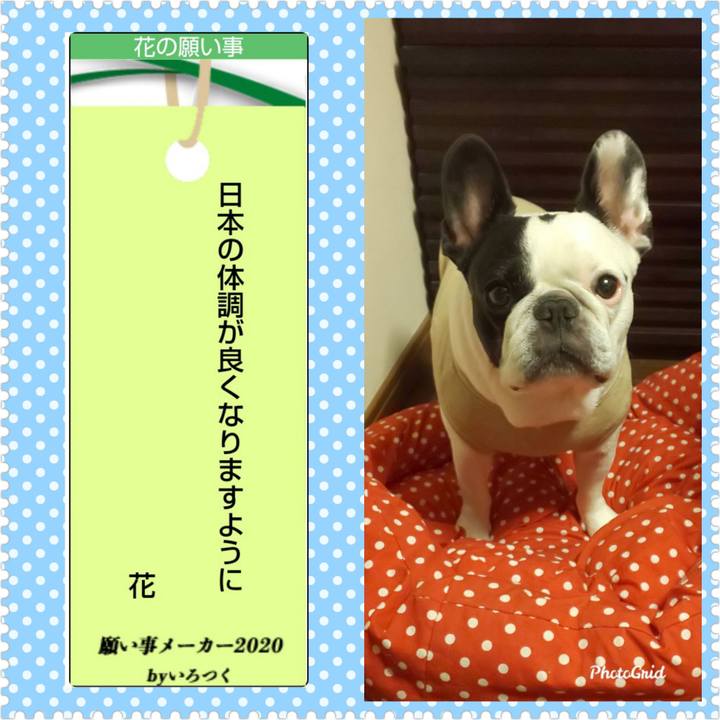 C81fbc08 41fc 4fd2 887d ebb9b5a07e2d 1594129107363