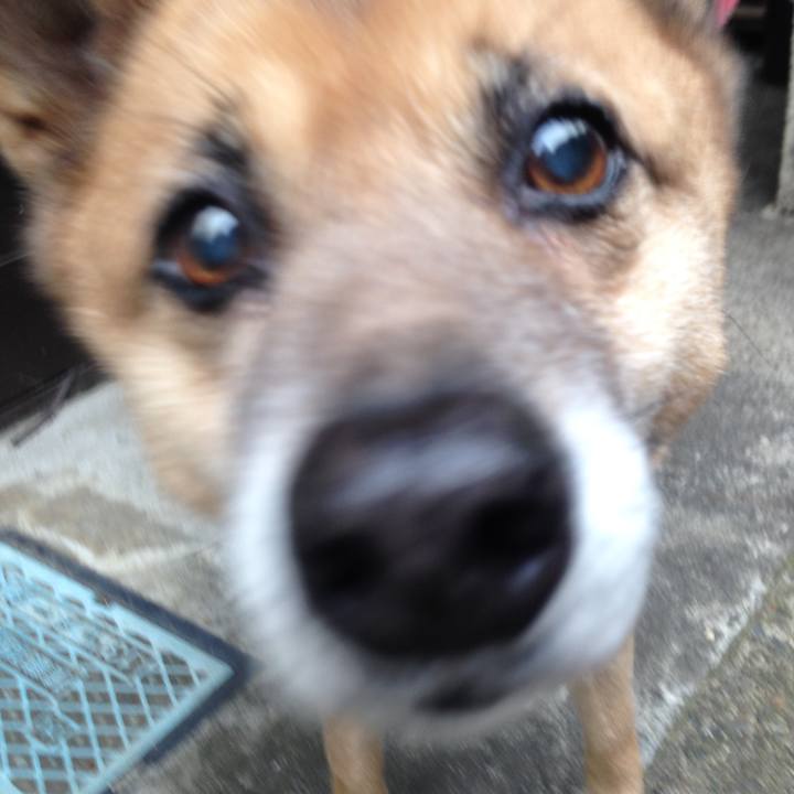 C81fc04d 558d 4b9f 8540 08a8fef0d055 1569318717446