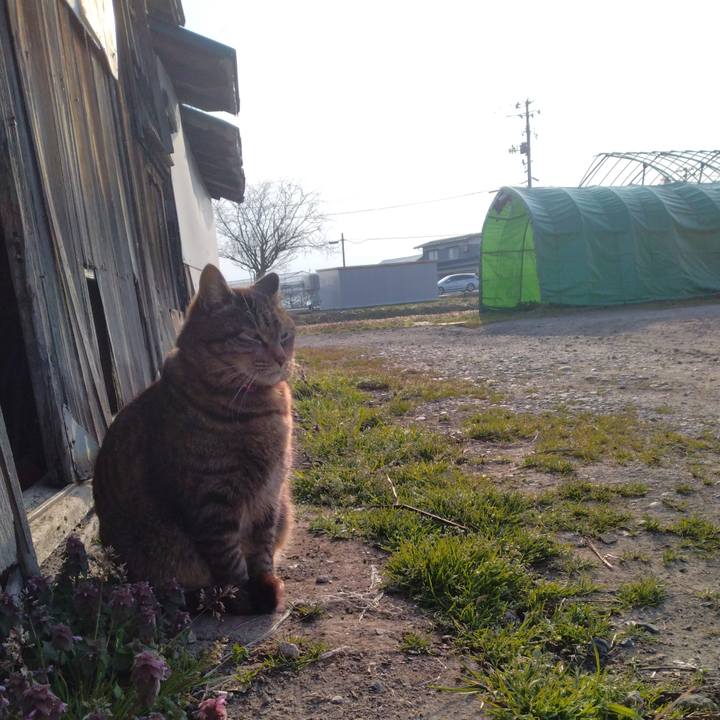 C81fc39c bd9e 4136 ba7c 6c8f75a0c33a 1680216368145