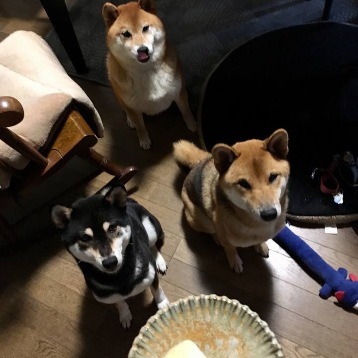 C81fda44 5175 4566 b977 967d1eeeb4aa 1563705525022