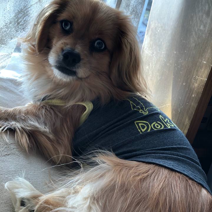 C81ff412 1c63 41c7 a096 bdc659cac945 1552178836115