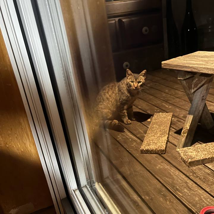 C8202879 9d84 435c 8ad2 dbb06d67b750 1660130779855