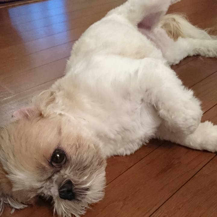 C820387f 3769 4b80 95f8 7f9e494440ec 1561974150530