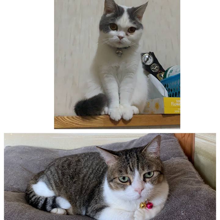 C820585e 01f0 4cac bf49 8eeff1d8c797 1577792031301