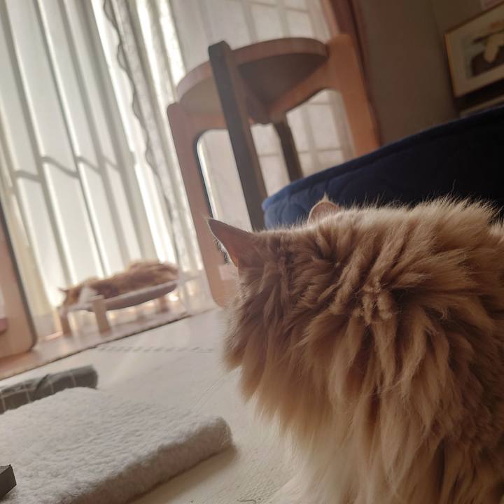 C820e345 89b4 40b5 830f debd28f89cbd 1685773126444