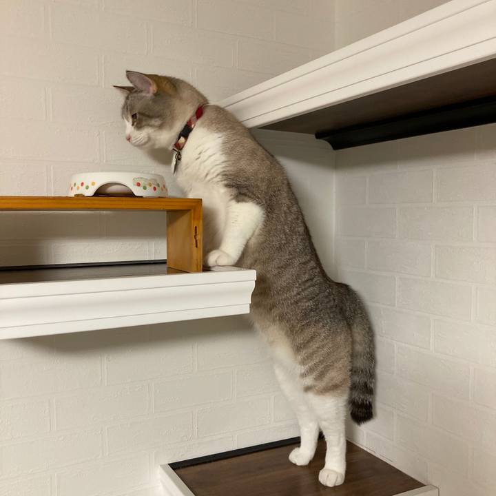 C821340c e46c 47a9 b37c e95205770b50 1595588829055