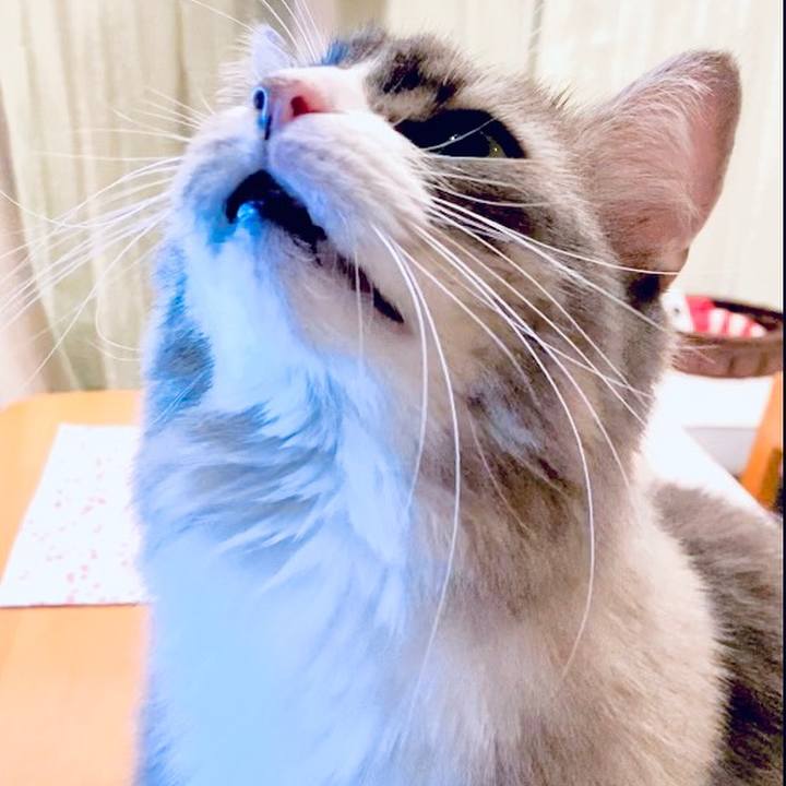 C8215b7c 60d7 46ce 98c0 80c40641b862 1637055232712