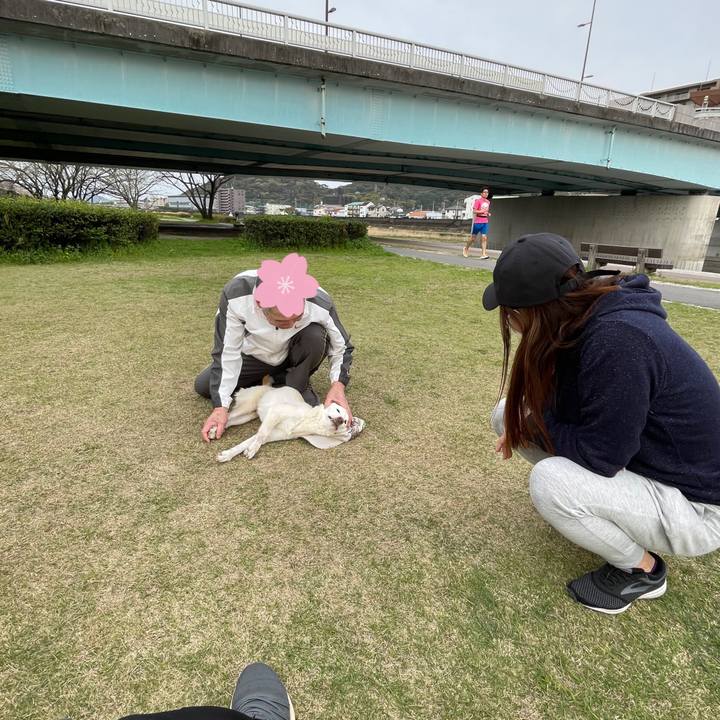 C8217992 7551 4a92 924f 6d7886674f0b 1680186084023