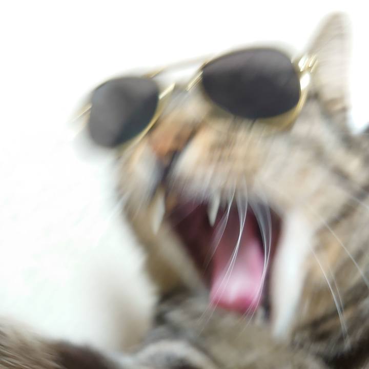 C82193d1 df31 41c0 8ce9 e28ea8b02a0e 1630145705902