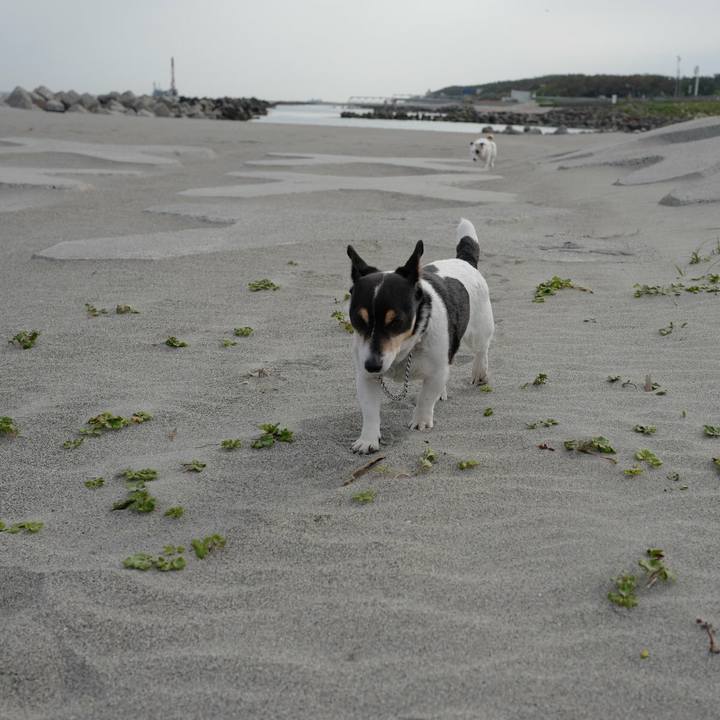 C821a1b6 264d 4937 9b51 5b2b24f3c197 1526098295025