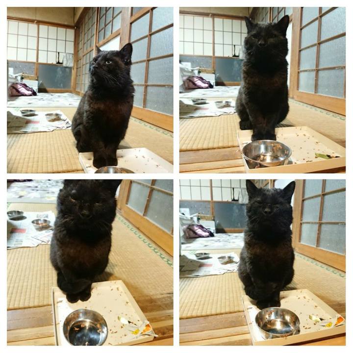 C821bd4e 6930 4da7 a325 a29ba1781dcd 1619094889835