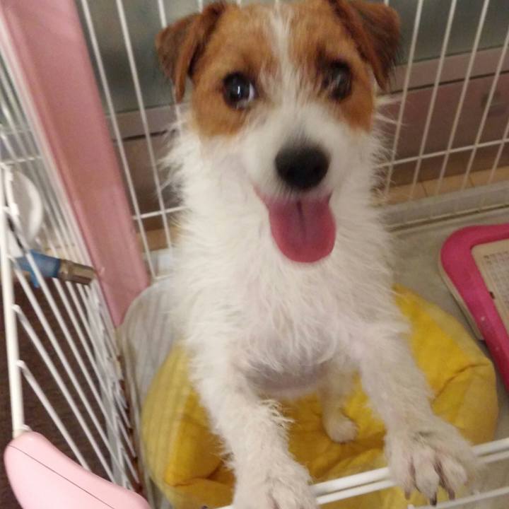 C821c8ac 4128 4b2c b4de 02998be105cb 1536310745069