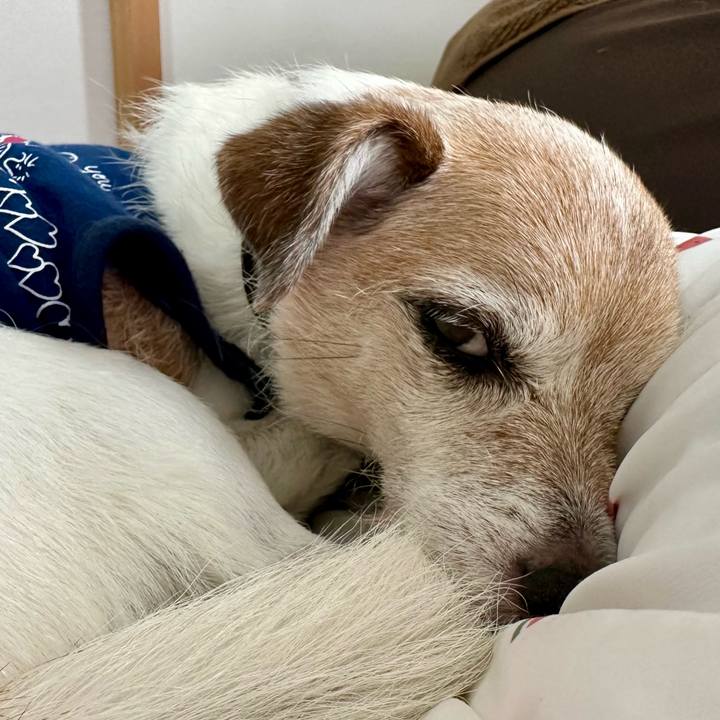 C821d8a5 836a 4c9b af53 f054076f447a 1691979320376