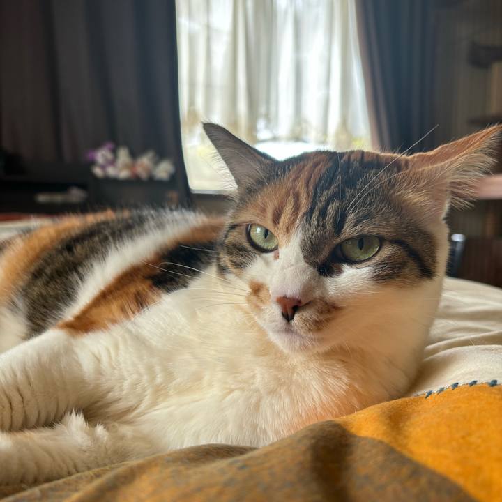 C8223376 d2e1 4f61 ace5 bd428e4836c8 1713661508939