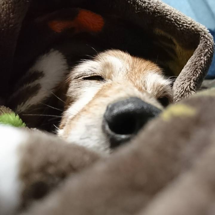 C8226f9b b456 4b9e 8f32 5a3a379fdf4b 1513568924338