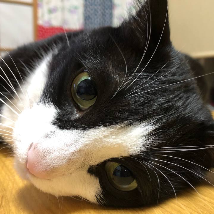 C8227a11 4fe0 4cd4 96fe 955bc8f7b4b2 1537022547973