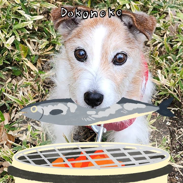 C8228956 0d26 481d a90a db907ac17d2c 1761119570576