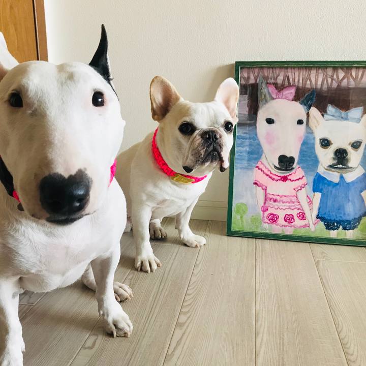 C8228a7b 06b4 4d31 ae8e f9f41fba1a91 1540299305527