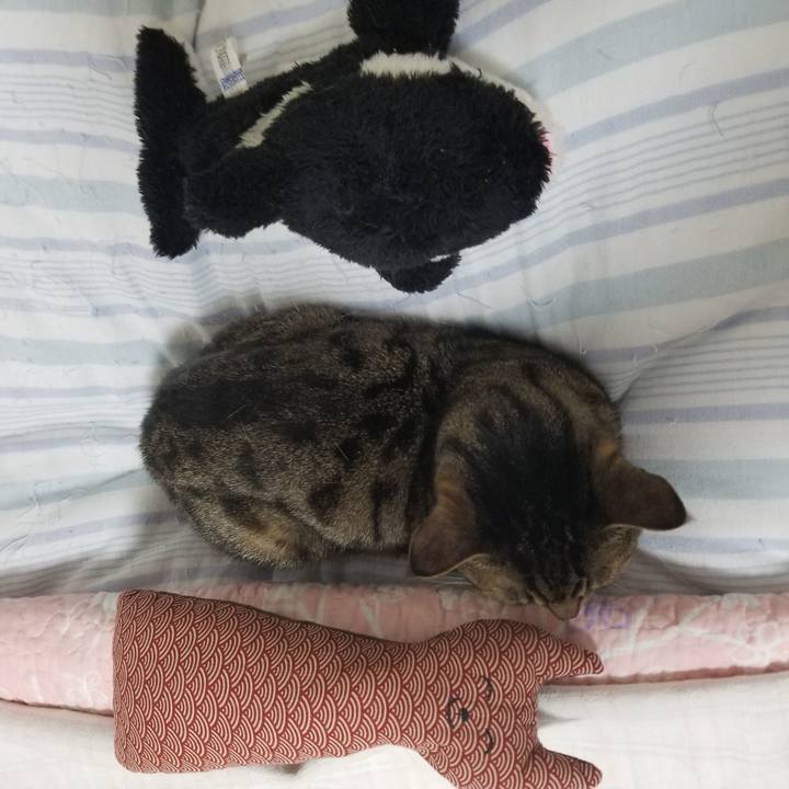 C8229892 03dd 4268 a83d 1b47f9f7aeb0 1617658304463