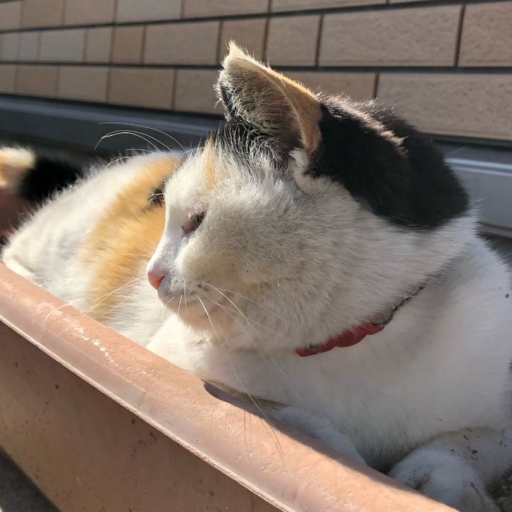 C822a76f 159a 4f19 8618 e9dad613b3a9 1613712851359