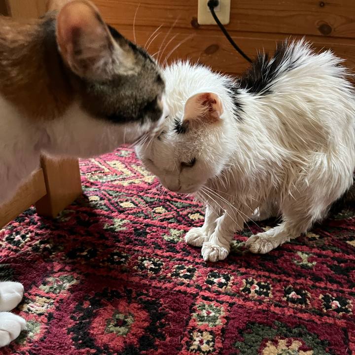 C822a80b de66 4c62 bbb7 f57b2d475e6b 1656453666932